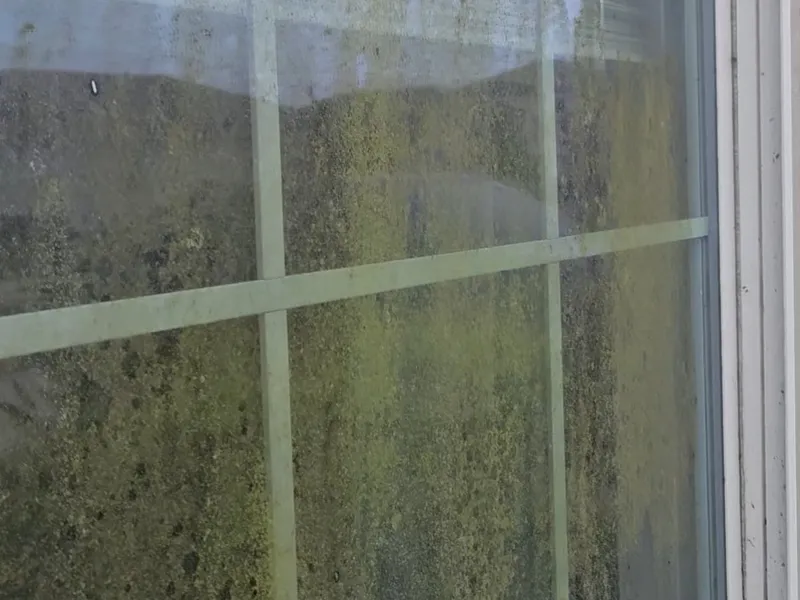 Before window cleaning Sarasota, green buildup covering the glass